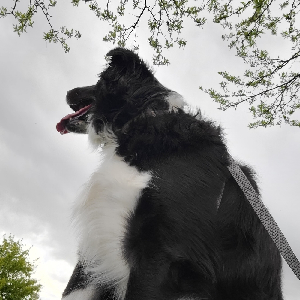 Meet your Posher, Trinity